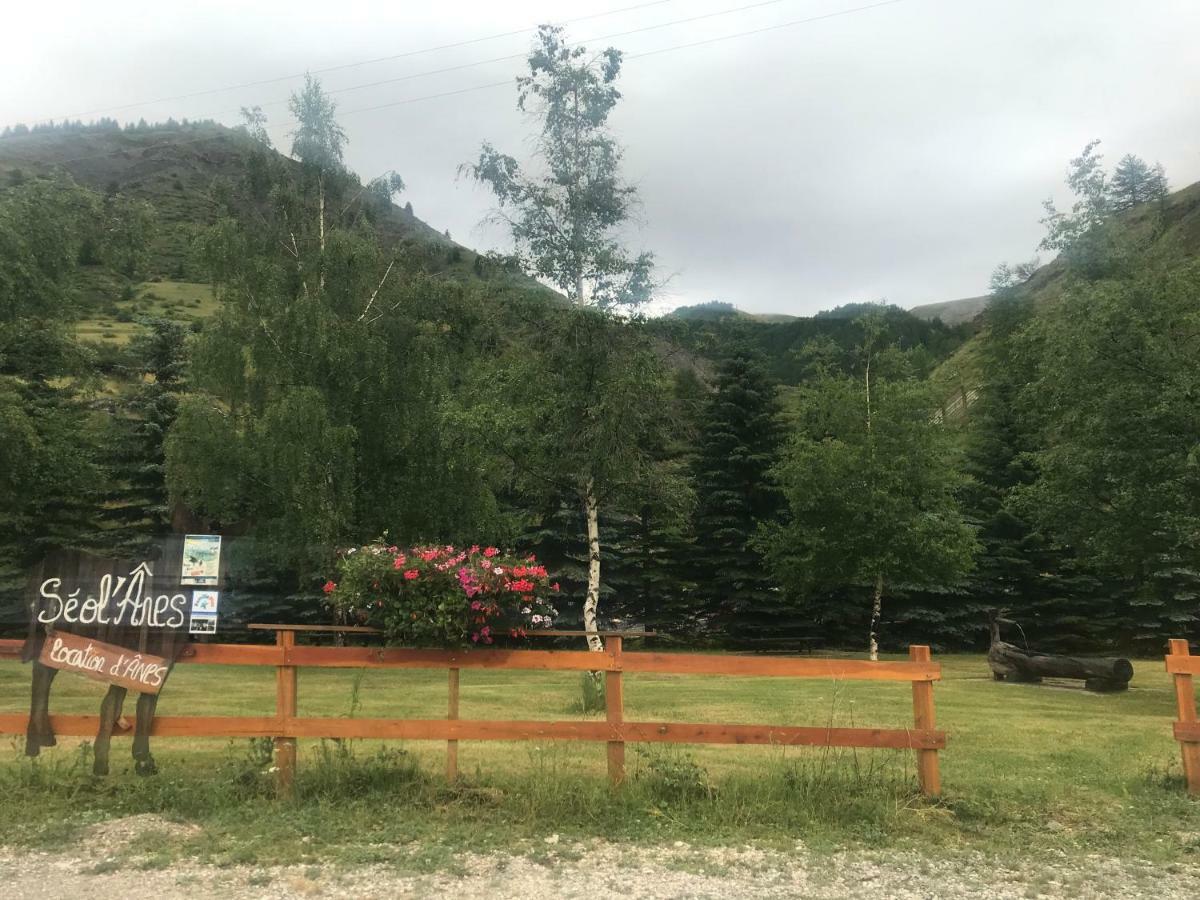 Studio Chaleureux A La Foux D'Алос Екстериор снимка